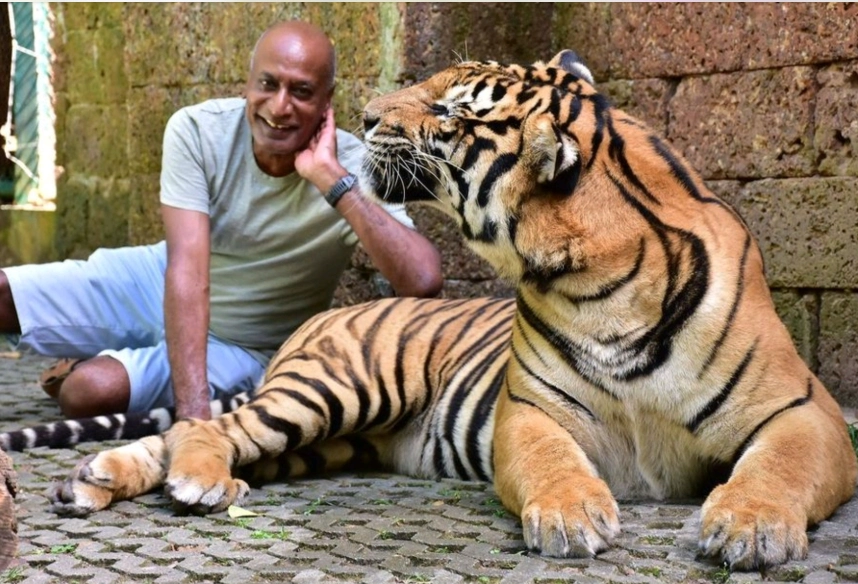 Jay with tiger